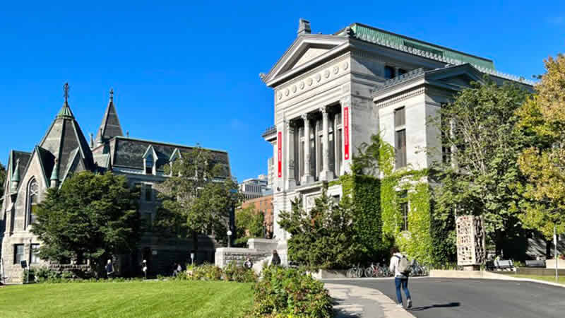 麦吉尔大学