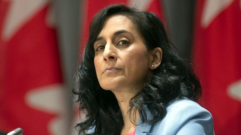 加拿大外交部长阿南德 Canada Foreign Minister Anita Anand 加拿大外交部长阿南德 Canada Foreign Minister Anita Anand